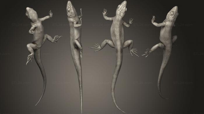 Animal figurines (lizard01, STKJ_1142) 3D models for cnc